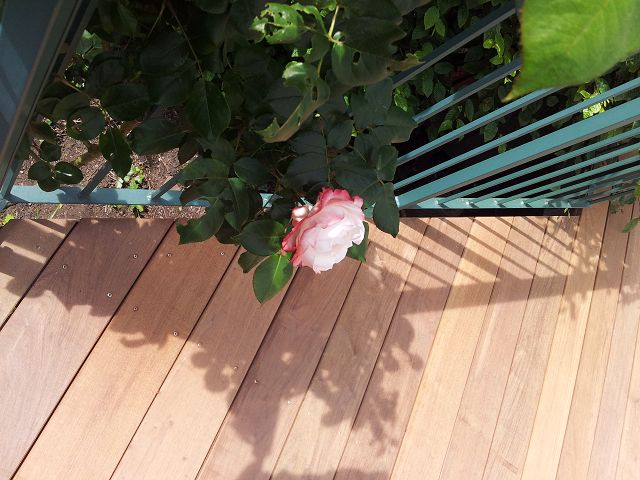 Holzterrasse mit Rosen